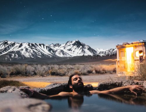 Must Have Beauty Kits & Palettes