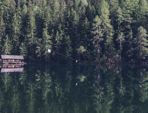 The Coolest Vanity Apps for You and Your Girls