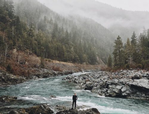 A Greeting Is More Valuable Than A Well Served Dish