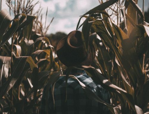 All Things Lost and Forgotten Must Be Found