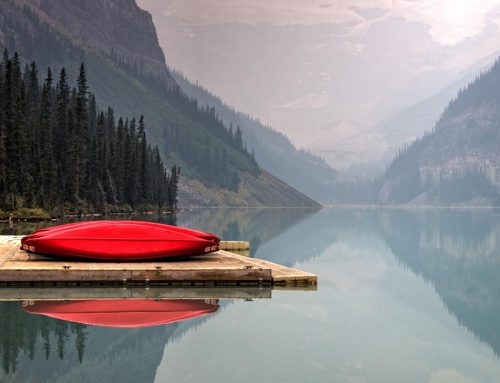 Different New Year Celebrations Around the World