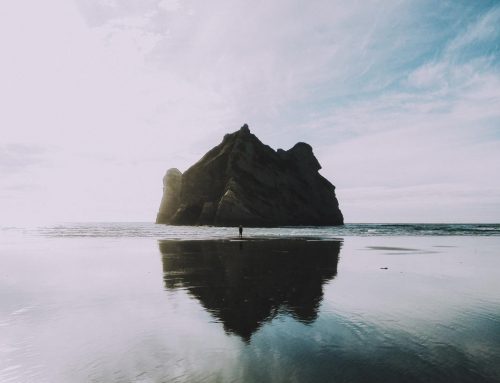 Getting Back to the Basics of Pure Education